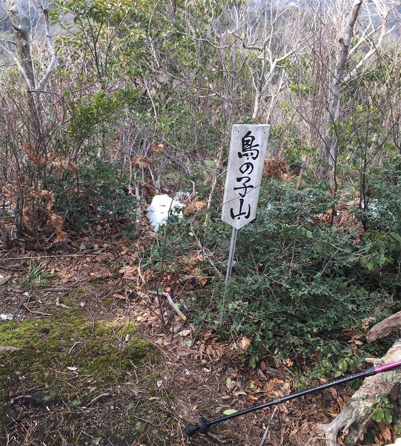 鳥の子山山頂