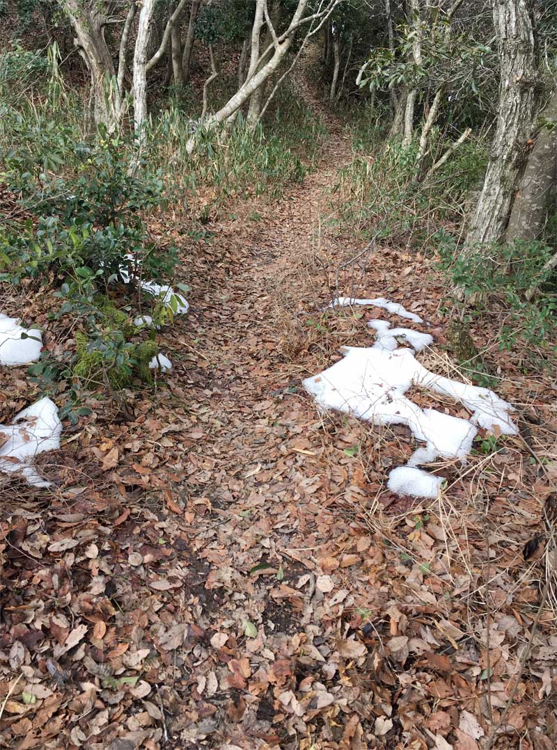 真山登山道