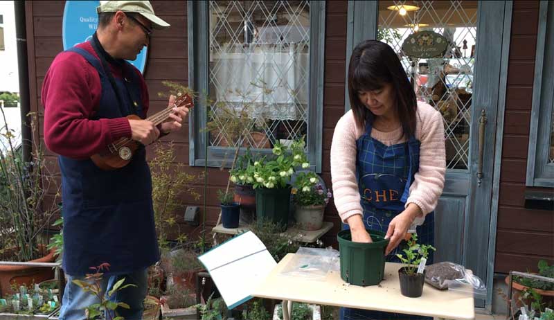 鉢植えセット