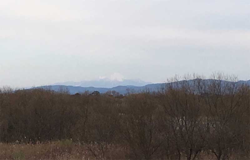 斐伊川土手から見る大山