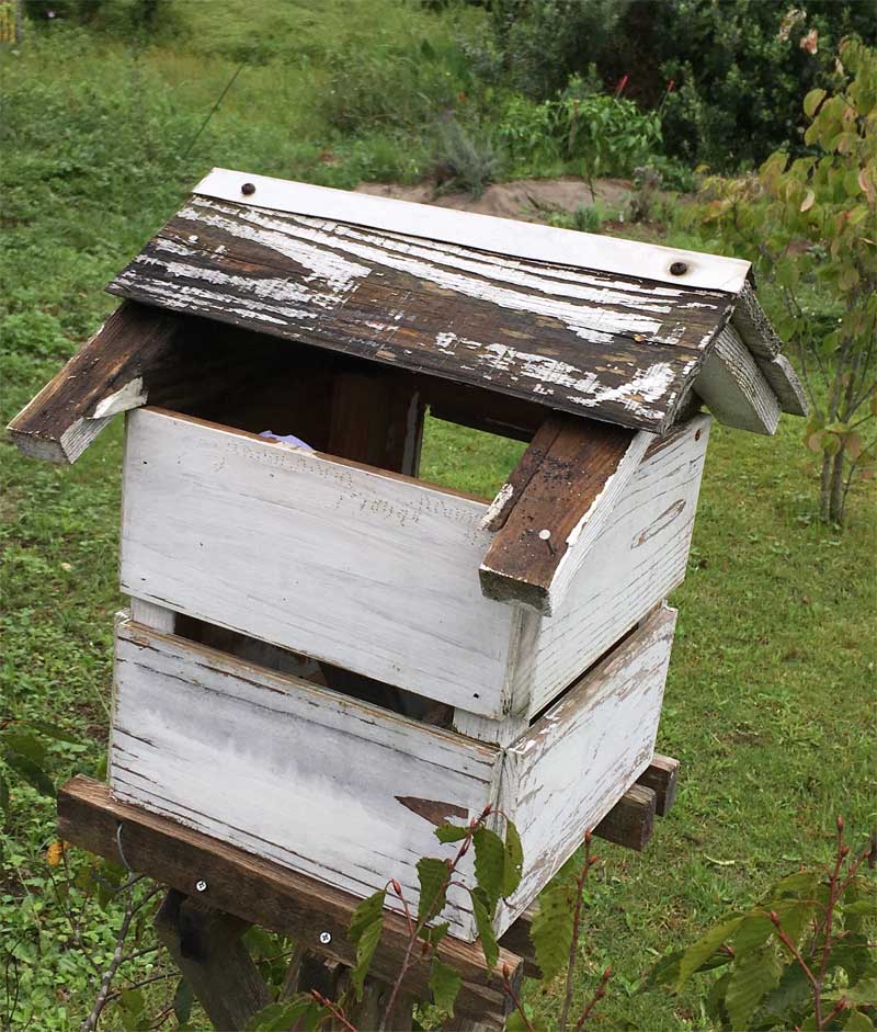 屋根が飛ばされた百葉箱