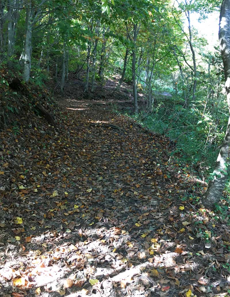 三平山登山道