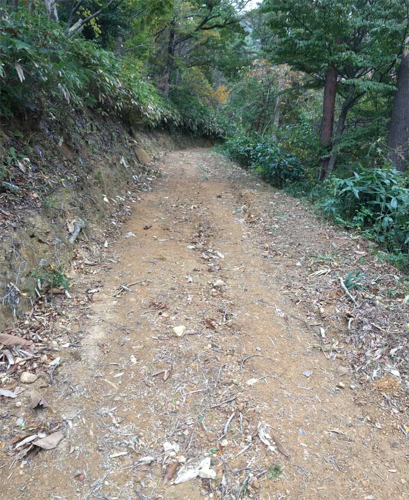 大日出山登山道