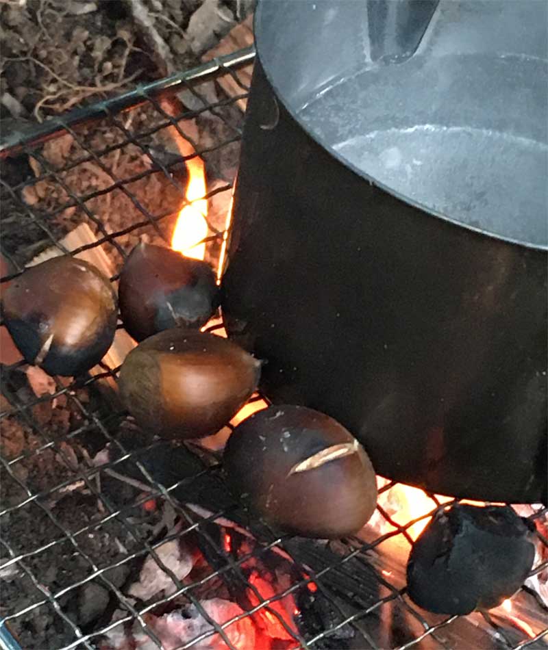 焼き栗