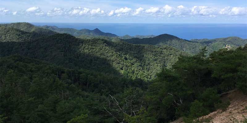 遙堪峠北、高山手前展望地