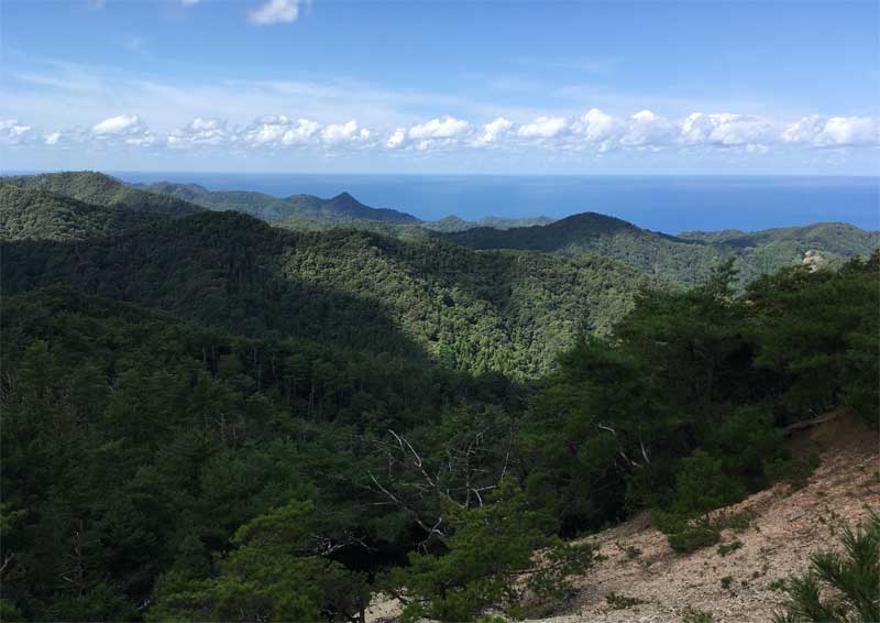 遙堪峠北、高山手前展望地