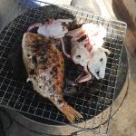 ウクレレを弾き、七輪で魚を焼く