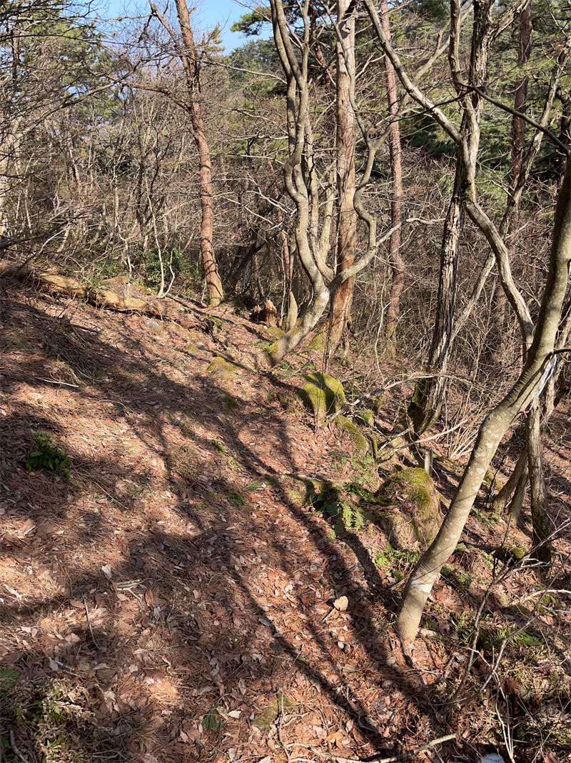 孝霊山登山口直下