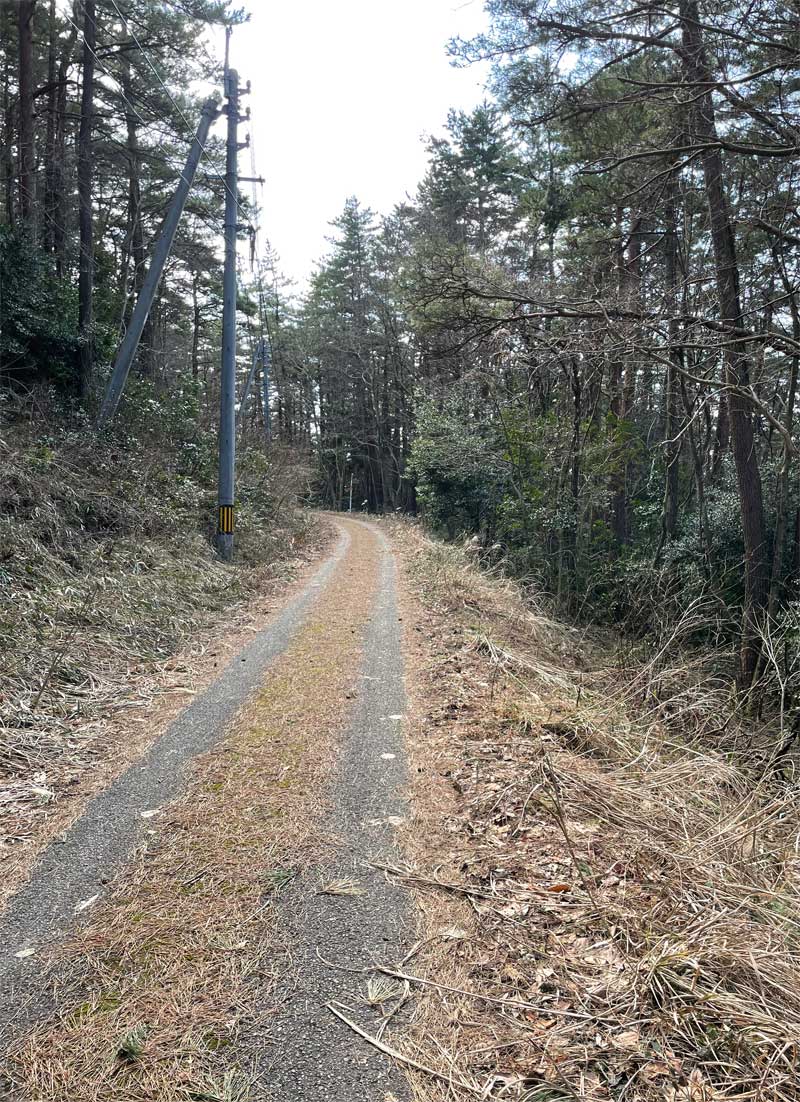 孝霊山道路