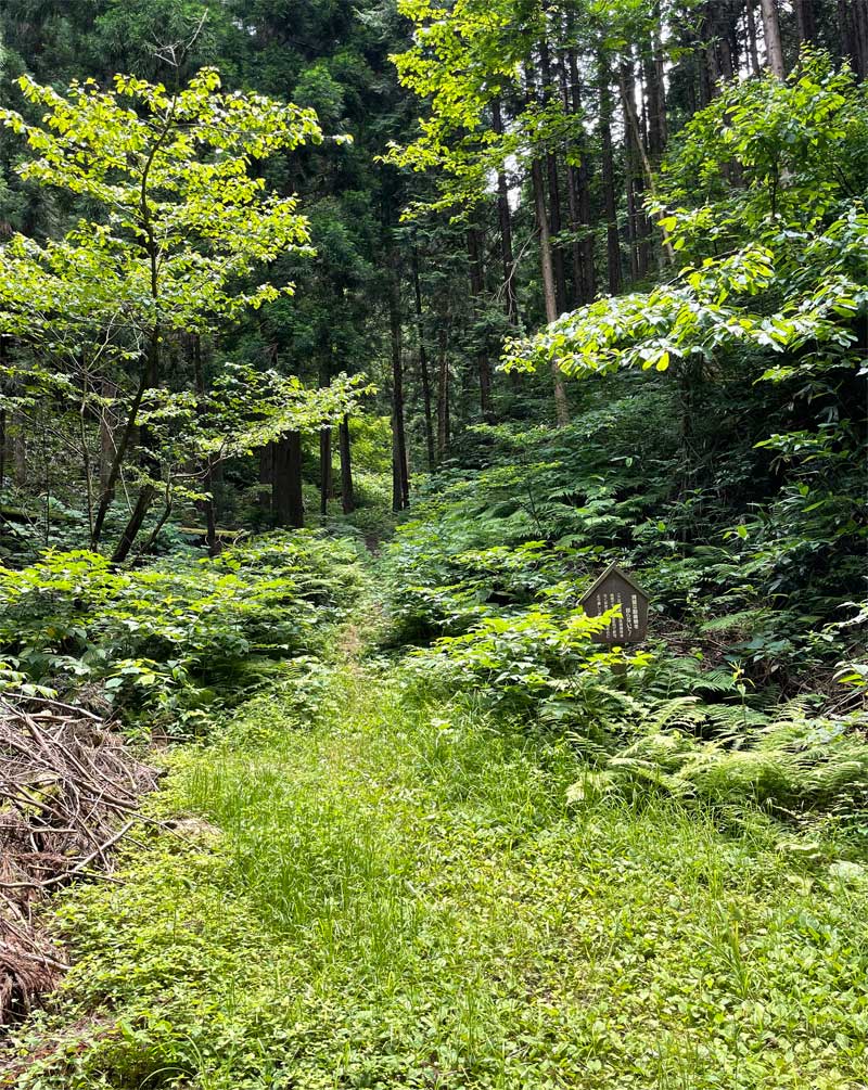 女亀山登山口