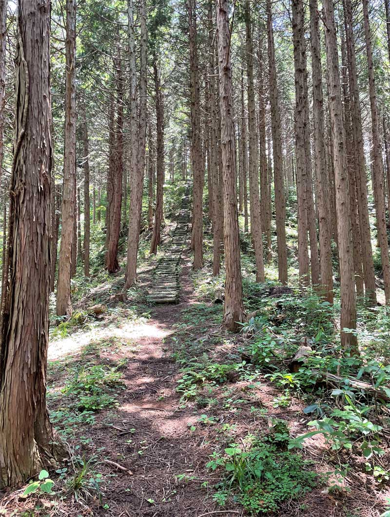 女亀山登山道