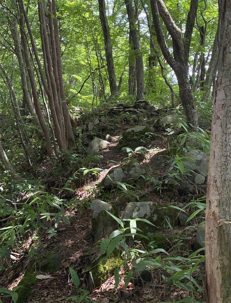 女亀山登山道