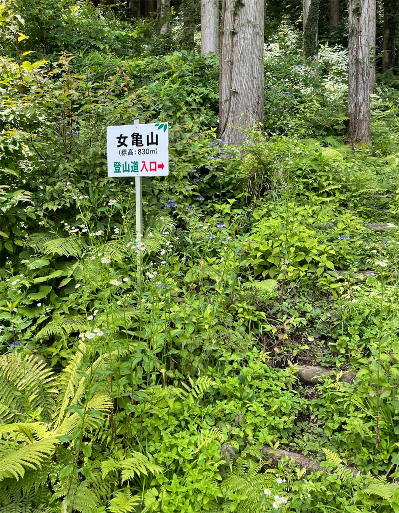 女亀山登山道標識