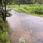 朝から豪雨となる