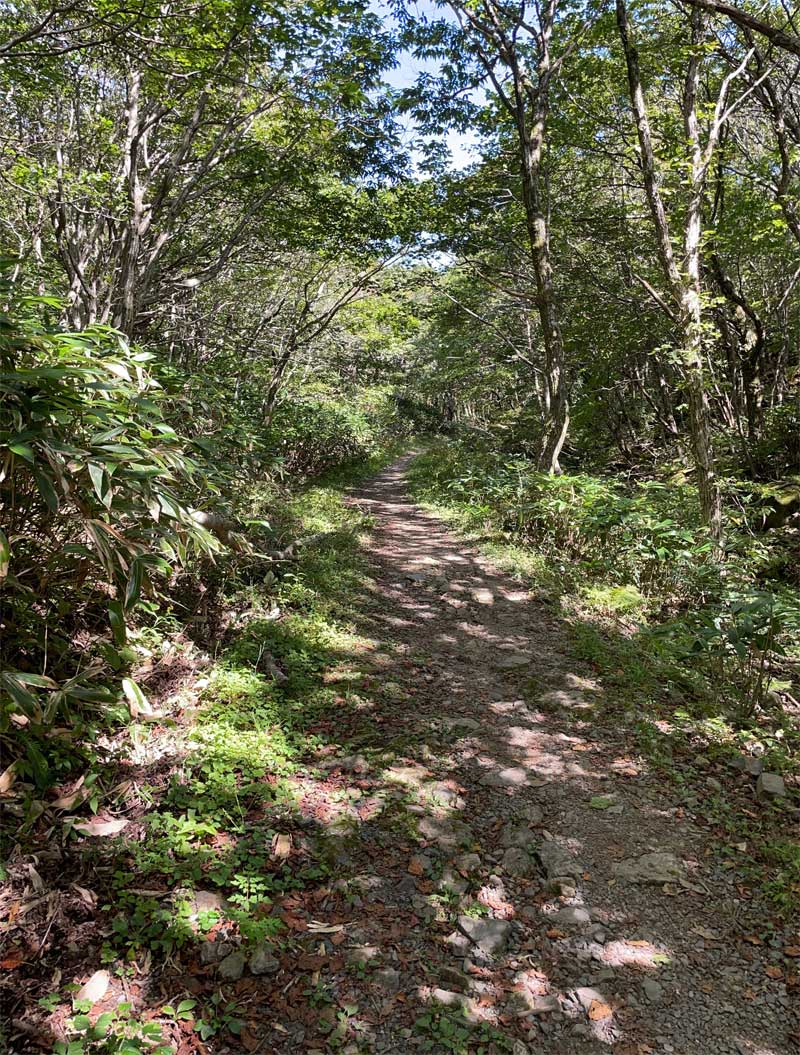 道後山登山道