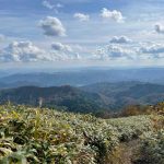 反省多き星山登山