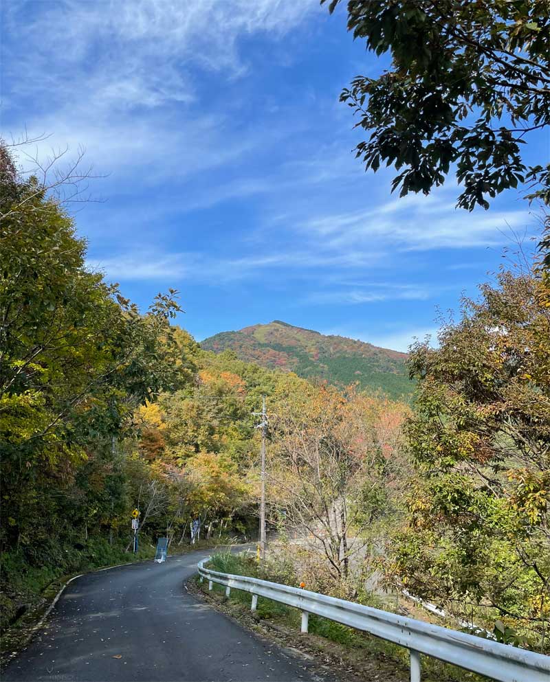 登山口付近から見る星山（たぶん）